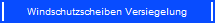 Windschutzscheiben Versiegelung