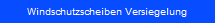 Windschutzscheiben Versiegelung